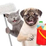 tips for pet hygiene