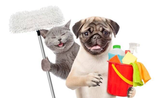 Tips for Pet Hygiene